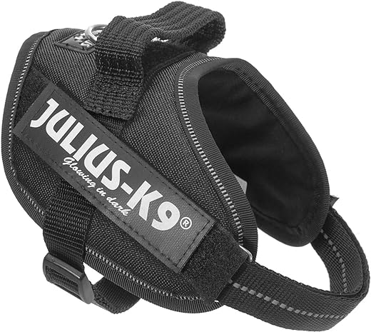 Julius-K9, 16IDC-P-M, IDC Powerharness, dog harness, Size: S/Mini, Black