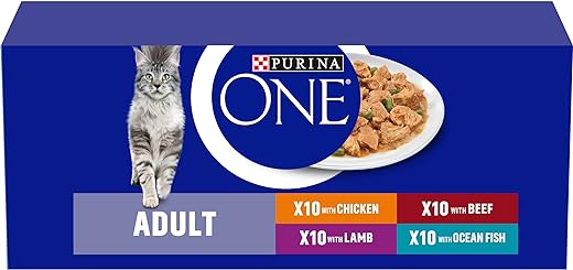 Purina ONE Adult Cat Mini Fillets in Gravy - 40x85g