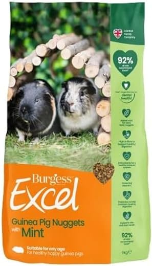 Burgess Excel Guinea Pig Nuggets with Mint 9kg, Green